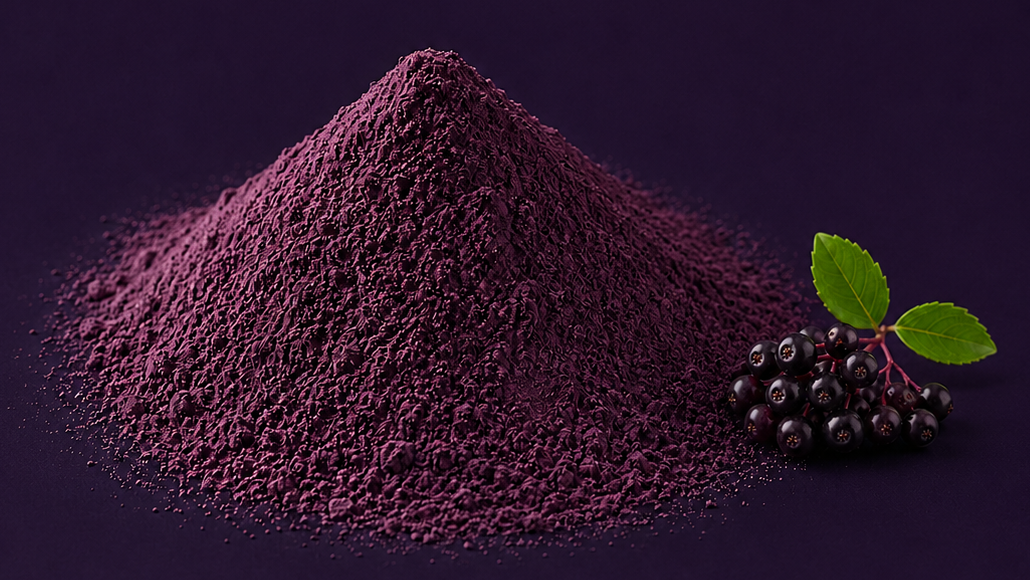 Mound of deep magenta elderberry powder beside fresh elderberries