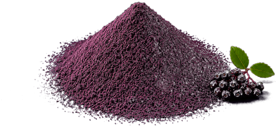 Elderberry powder with fresh elderberries