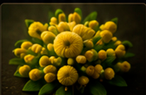 Cluster of yellow flowers, a natural source of quercetin