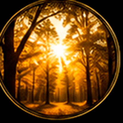 Sunlight through a forest, evoking vitamin D3